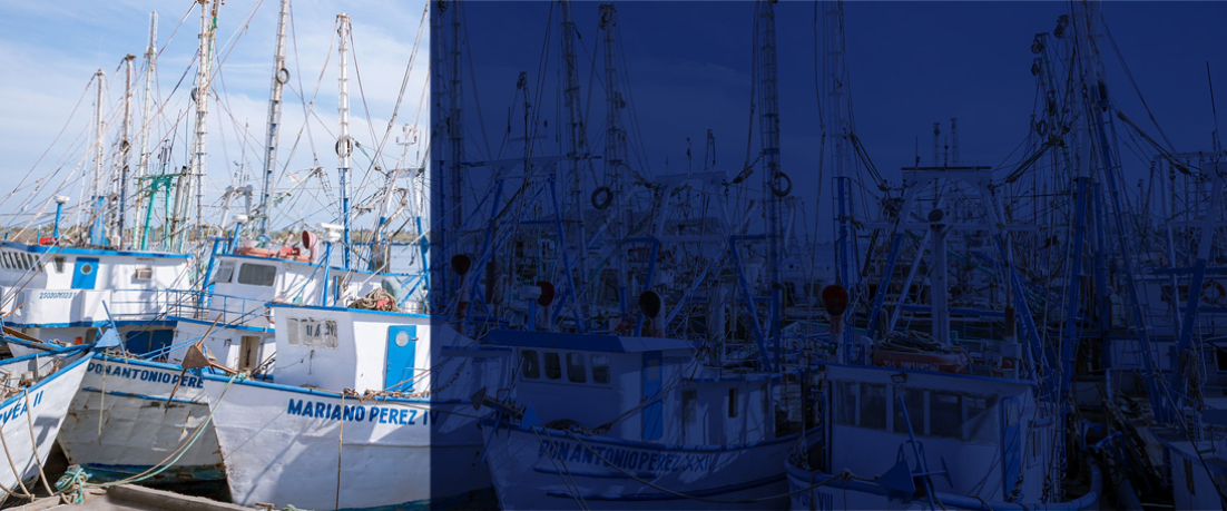 Fishing Boats